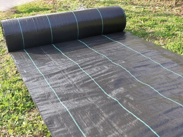 Morilu-Greenhoue-Ground-Cover-menu-img