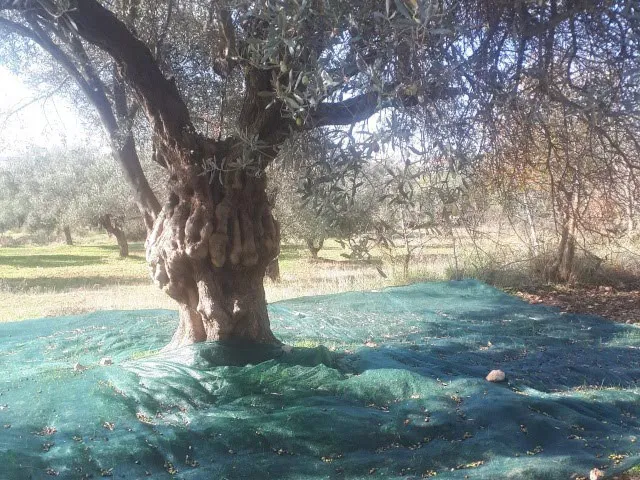 Morilu-Monofilament-Harvesting-Net-menu-img-front