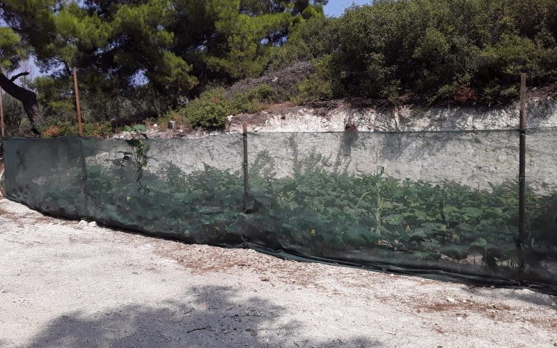 Morilu-40%-Green-Fence_Net (29)