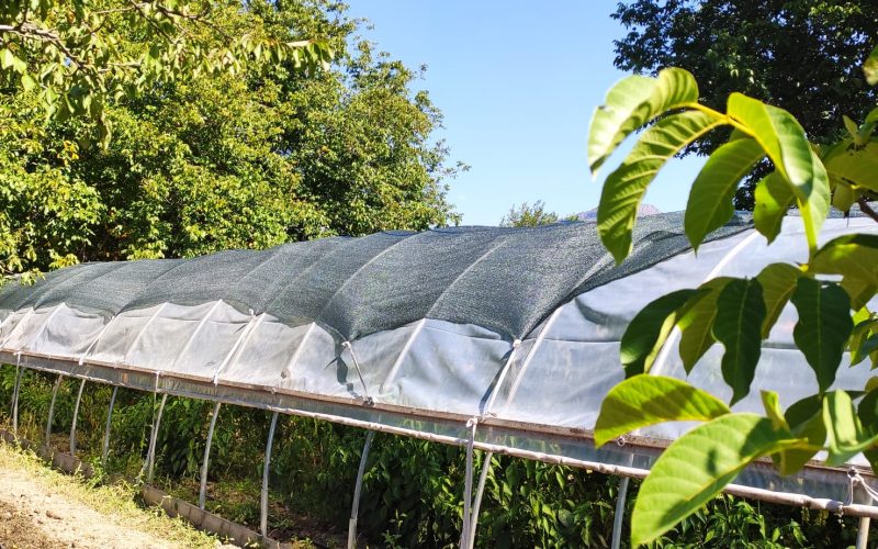 Morilu-40%-Green-Greenhouse_Shading_Net (6)
