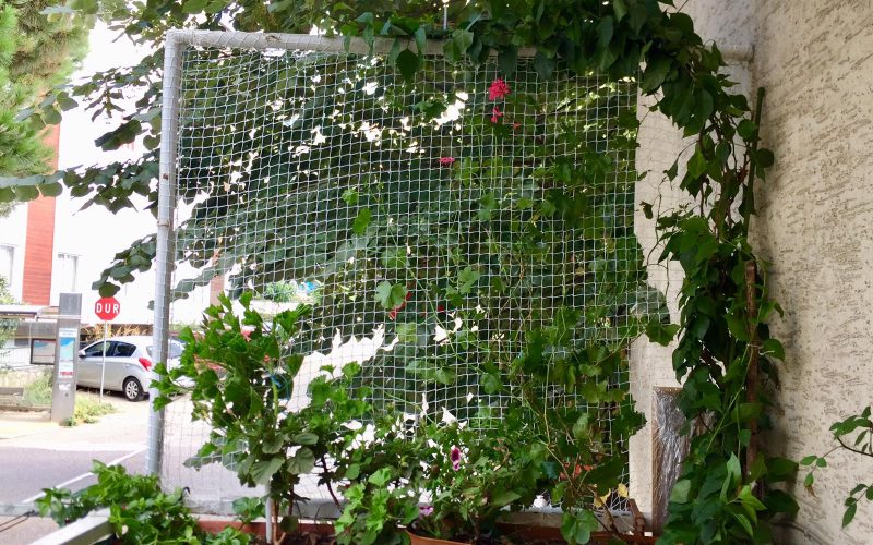 Morilu-Anti_Bird_Net_White-Polyester-2cm (17)