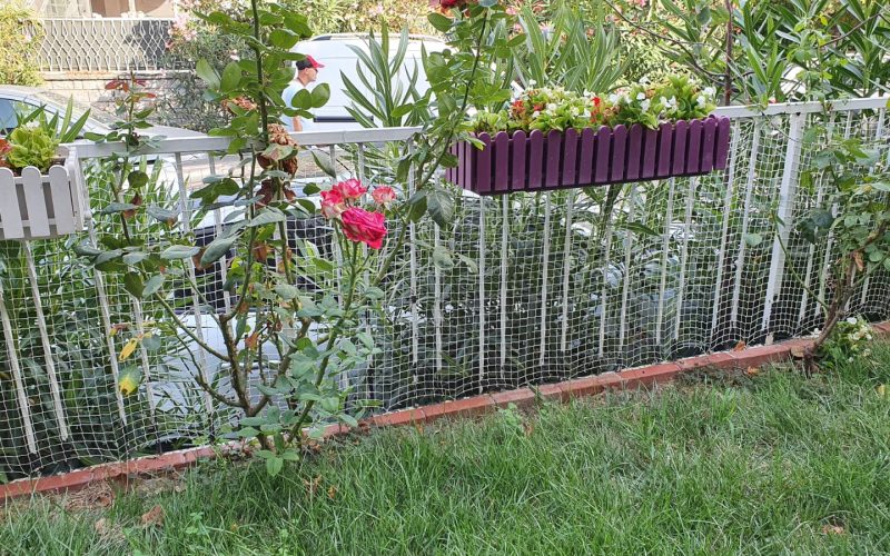 Morilu-Anti_Bird_Net_White-Polyester-2cm (55)