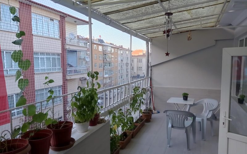 Morilu-Anti_Bird_Net_White-Polyester-2cm (63)