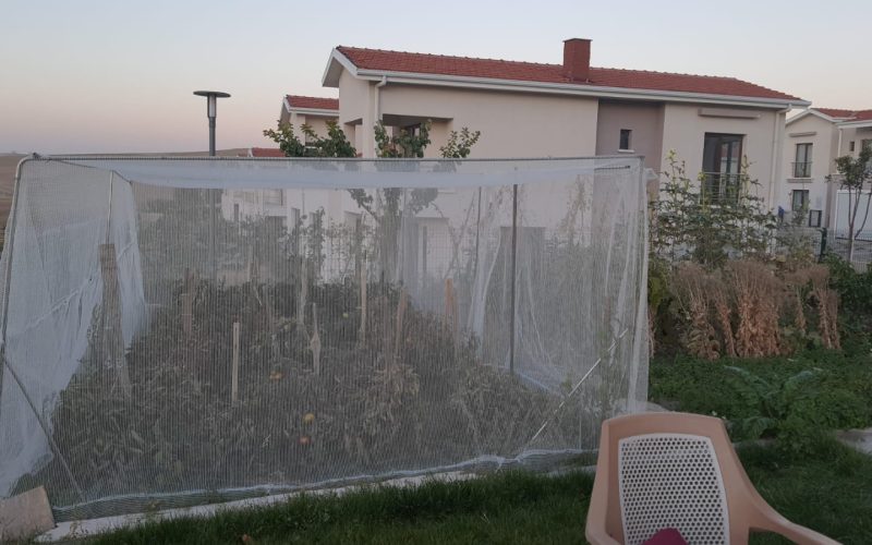 Morilu-Anti_Bird_Net_White-Transparent-Monofilament (5)