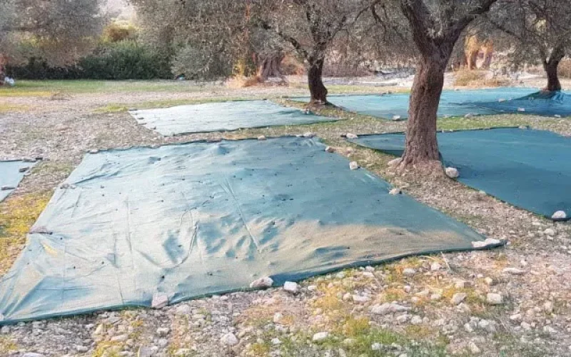 Morilu-Polyester-Harvesting-Net-menu-img-back