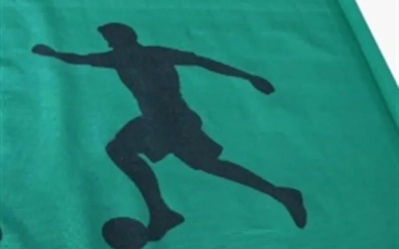 Morilu-Printed-Fence-Net