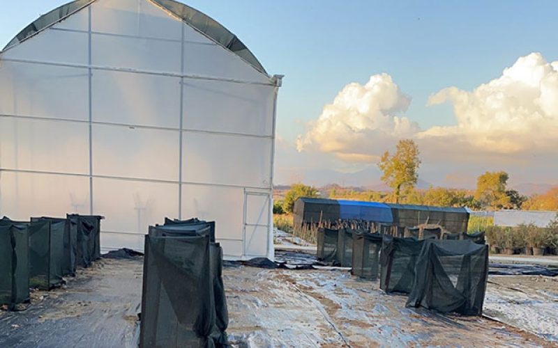 Morilu-Weed_Barrier_Fabric-Greenhouse_Ground_Cover-(12)