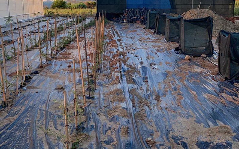 Morilu-Weed_Barrier_Fabric-Greenhouse_Ground_Cover-(13)